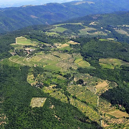 Tatil Evi Buccianera Arezzo