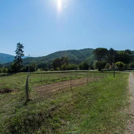 Tatil Evi Buccianera *